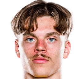 Scandinavia portrait 1